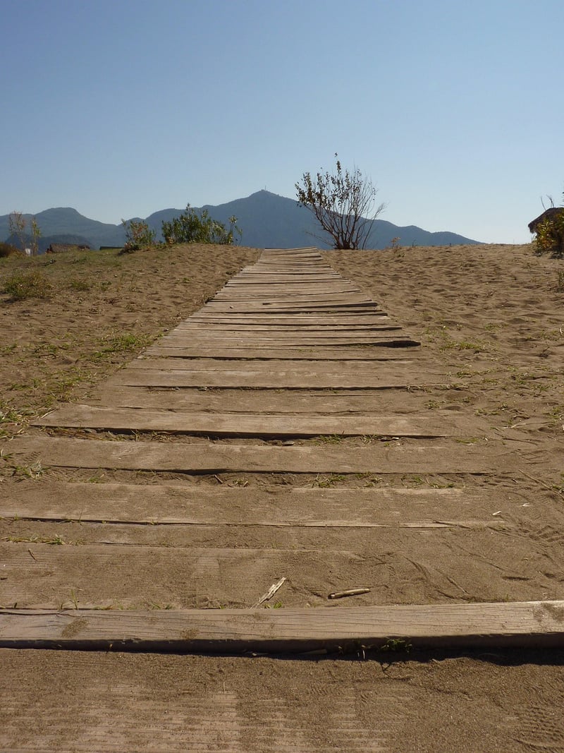 Off the Beaten Path