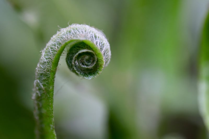 Professional Growth Tips