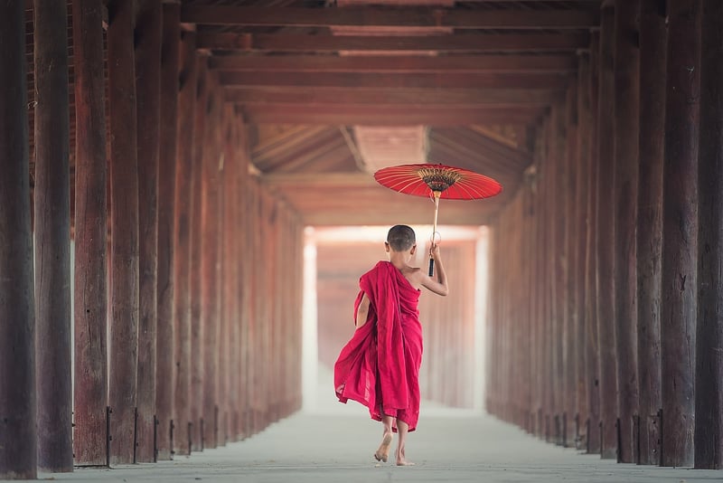 Cultural Immersion Image